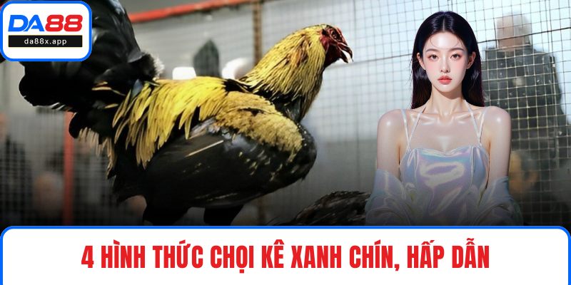 Đá Gà DA88 - Thiên Đường Chọi Kê Xanh Chín, Kịch Tính 4 hình thức chọi kê xanh chín, hấp dẫn trên thị trường